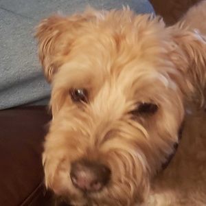 Meet your Posher, Tara